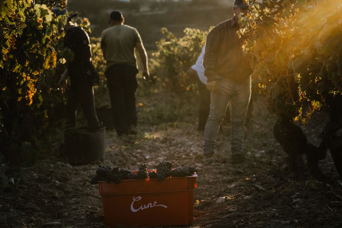 Rioja: Where Next?